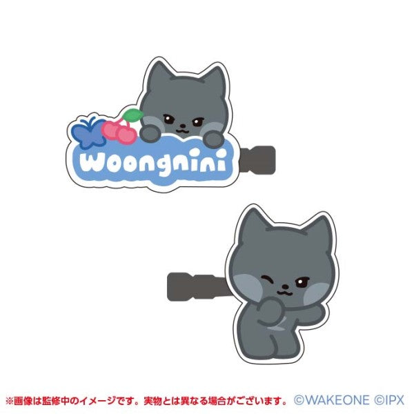 zeroni アクリルヘアクリップ ②woongnini [エンスカイ][GOODS]