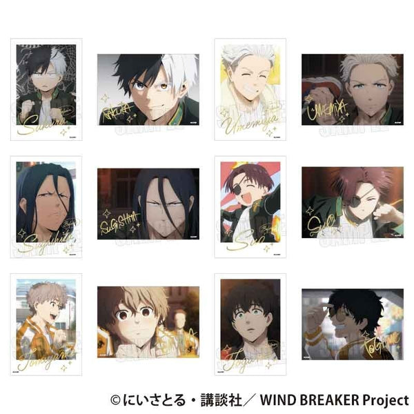 トレーディング箔押しブロマイド WIND BREAKER 1箱12個入り [ベルハウス][トレーディング]